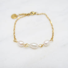 Load image into Gallery viewer, Wonder