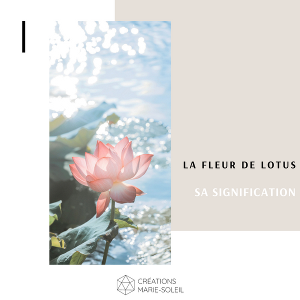 La fleur de Lotus